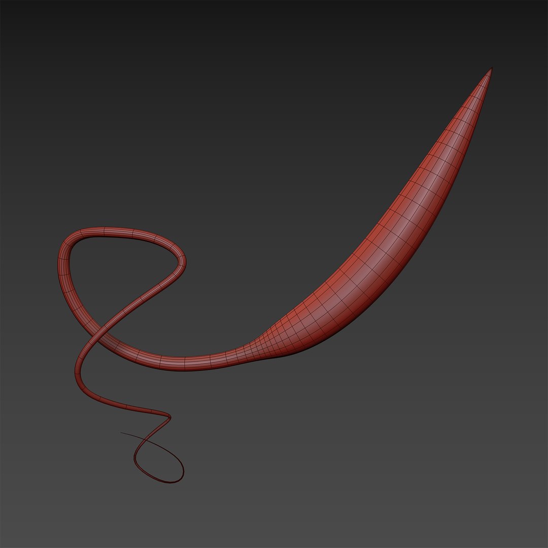 75 microbes micro bacteria cells model https://p.turbosquid.com/ts-thumb/Aq/O6rrIx/uj1tHF0E/leishmanialeishmaniatropica_04/jpg/1601715302/1920x1080/fit_q87/63a64607cc16a31edcfdbd77d357ce9d8f761190/leishmanialeishmaniatropica_04.jpg