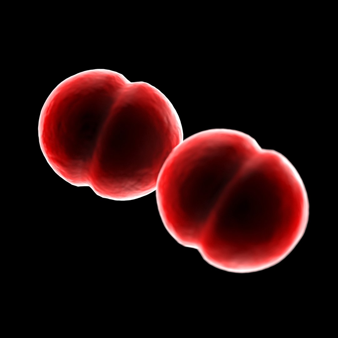75 microbes micro bacteria cells model https://p.turbosquid.com/ts-thumb/Aq/O6rrIx/zKYnc440/flesheatingstreptococcuspyogenes_02/jpg/1601714904/1920x1080/fit_q87/d253fcd60d9073e444dfe70a013bb86e205f1f78/flesheatingstreptococcuspyogenes_02.jpg