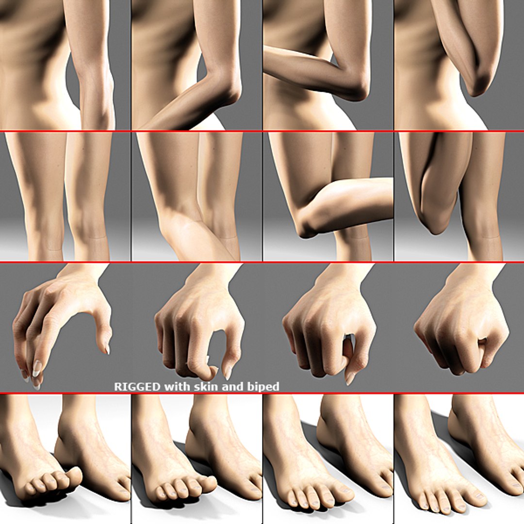 hair 3 mika max9 3d model https://p.turbosquid.com/ts-thumb/Aq/W8I5SH/XDyyA2g1/rigs/jpg/1313151317/1920x1080/fit_q87/ffab68816cbcafe1e78de9edb2161618bb5304de/rigs.jpg