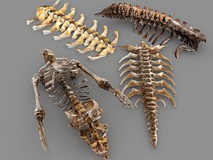 Prehistoric bones 3D model