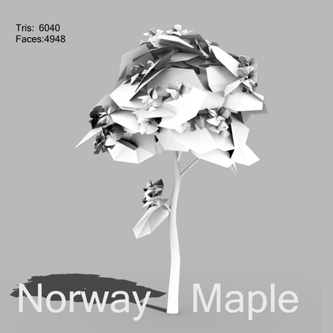 3D maple https://p.turbosquid.com/ts-thumb/Aq/gDM5oJ/TMYWcZYS/page6small/jpg/1495981238/1920x1080/fit_q87/04aa81f806d73cae87d1bfa1e0a8b5987df83aa6/page6small.jpg