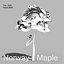 Norway Maple