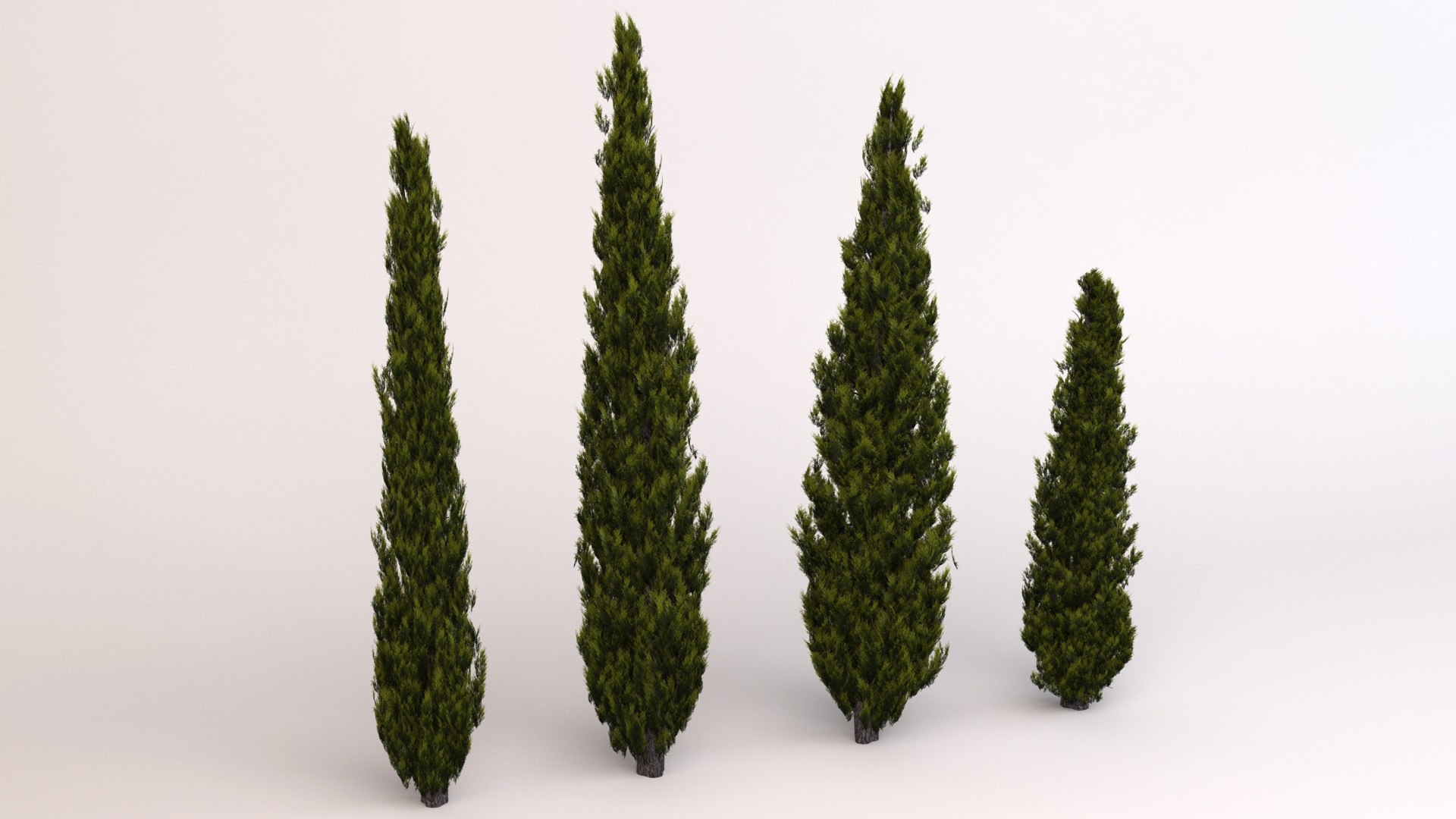 3d model of italian cypress trees https://p.turbosquid.com/ts-thumb/Aq/ul9PnC/v5MOnkGt/c1/jpg/1586911587/1920x1080/fit_q87/889a8a3568ef92e81978d712108541b83729232f/c1.jpg