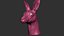 Kangaroo head Zbrush Sculpture Digitale 3D