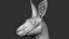 Kangaroo head Zbrush Sculpture Digitale 3D