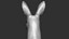 Kangaroo head Zbrush Sculpture Digitale 3D