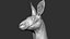 Kangaroo head Zbrush Sculpture Digitale 3D