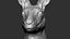 Kangaroo head Zbrush Sculpture Digitale 3D