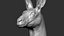 Kangaroo head Zbrush Sculpture Digitale 3D