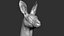 Kangaroo head Zbrush Sculpture Digitale 3D