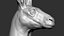 Kangaroo head Zbrush Sculpture Digitale 3D