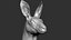 Kangaroo head Zbrush Sculpture Digitale 3D