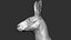 Kangaroo head Zbrush Sculpture Digitale 3D