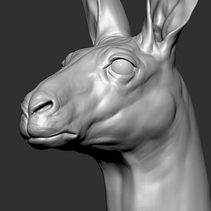 Kangaroo head Zbrush Sculpture Digitale 3D