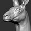 Kangaroo head Zbrush Sculpture Digitale 3D
