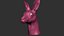 Kangaroo head Zbrush Sculpture Digitale 3D