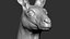 Kangaroo head Zbrush Sculpture Digitale 3D