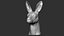 Kangaroo head Zbrush Sculpture Digitale 3D