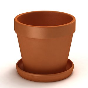 Terracotta Pot