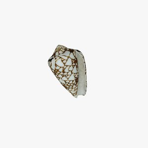 Conus Textile
