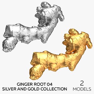 3D Ginger Root 04 Silver and Gold Collection - 2 models