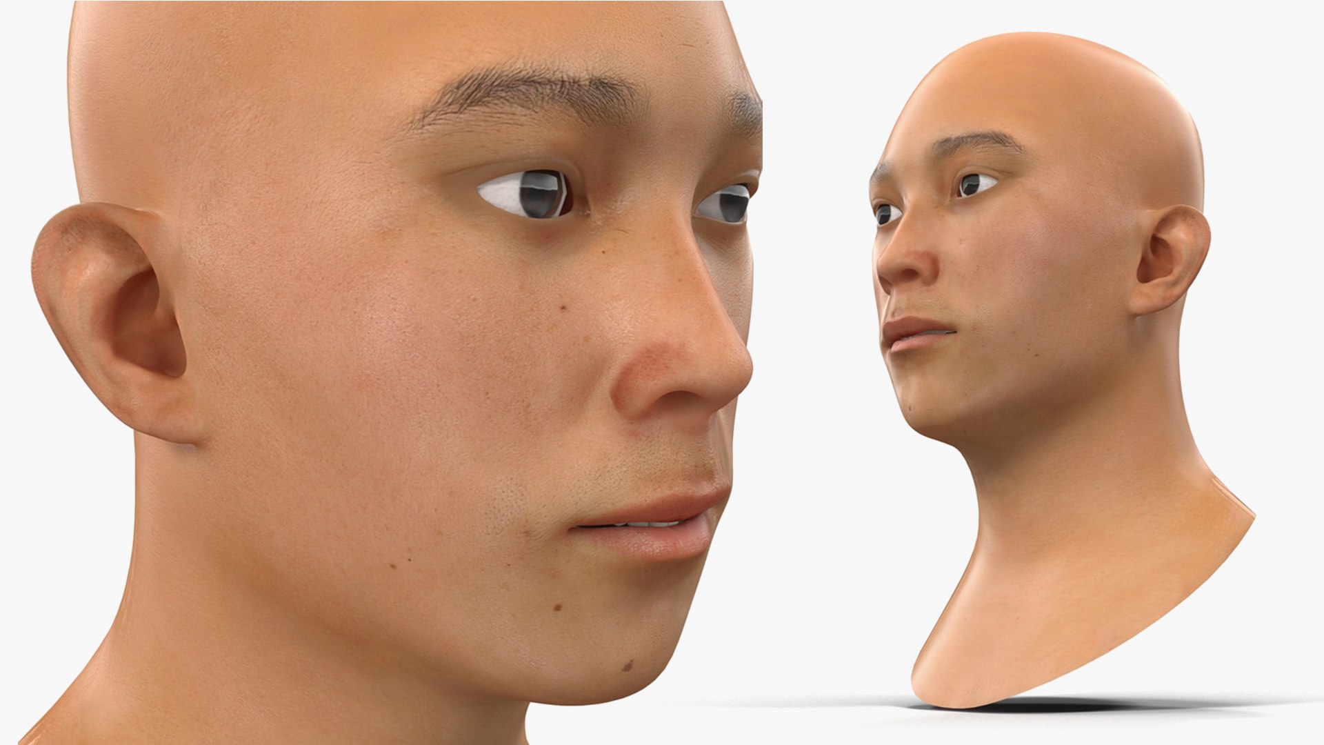 Male Heads Collection 4 3D model https://p.turbosquid.com/ts-thumb/Ar/PSnRsy/H6/maleheadscollection4mb3dmodel039/jpg/1656158357/1920x1080/fit_q87/97826d9953ea9447bf542828b5ea54be70c7d39c/maleheadscollection4mb3dmodel039.jpg