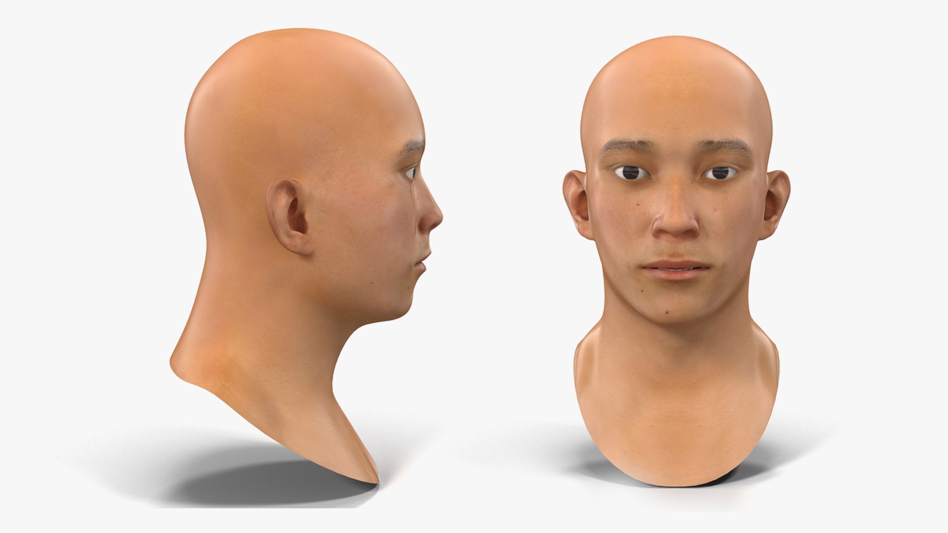 Male Heads Collection 4 3D model https://p.turbosquid.com/ts-thumb/Ar/PSnRsy/Nr/maleheadscollection4mb3dmodel038/jpg/1656158354/1920x1080/fit_q87/eea81804a98420c7fea56fb0784e2a479047f0a1/maleheadscollection4mb3dmodel038.jpg