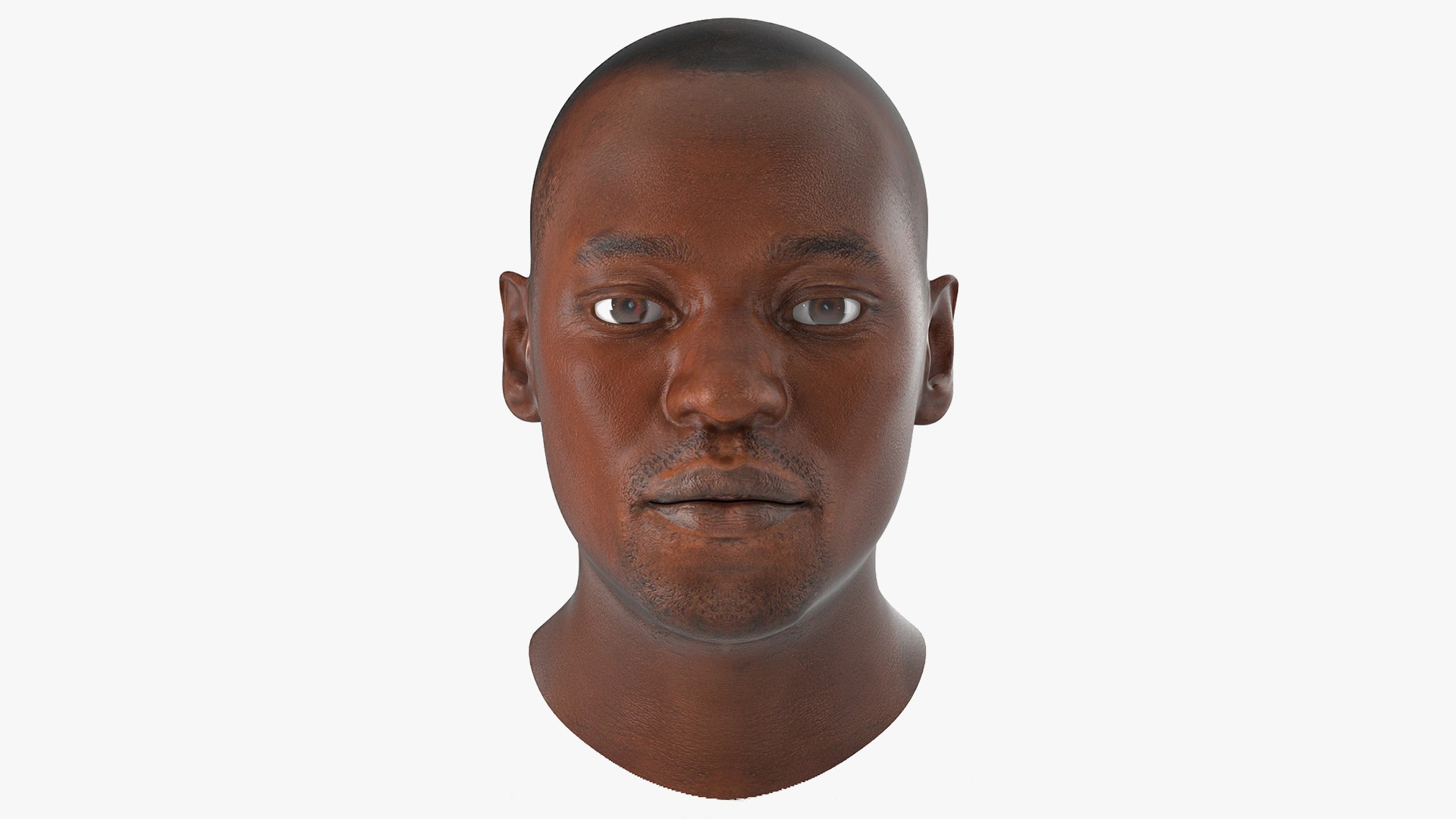 Male Heads Collection 4 3D model https://p.turbosquid.com/ts-thumb/Ar/PSnRsy/Ox/maleheadscollection4mb3dmodel043/jpg/1656158369/1920x1080/fit_q87/3f34fd17907f016576e0206dda7f61d120f86b10/maleheadscollection4mb3dmodel043.jpg