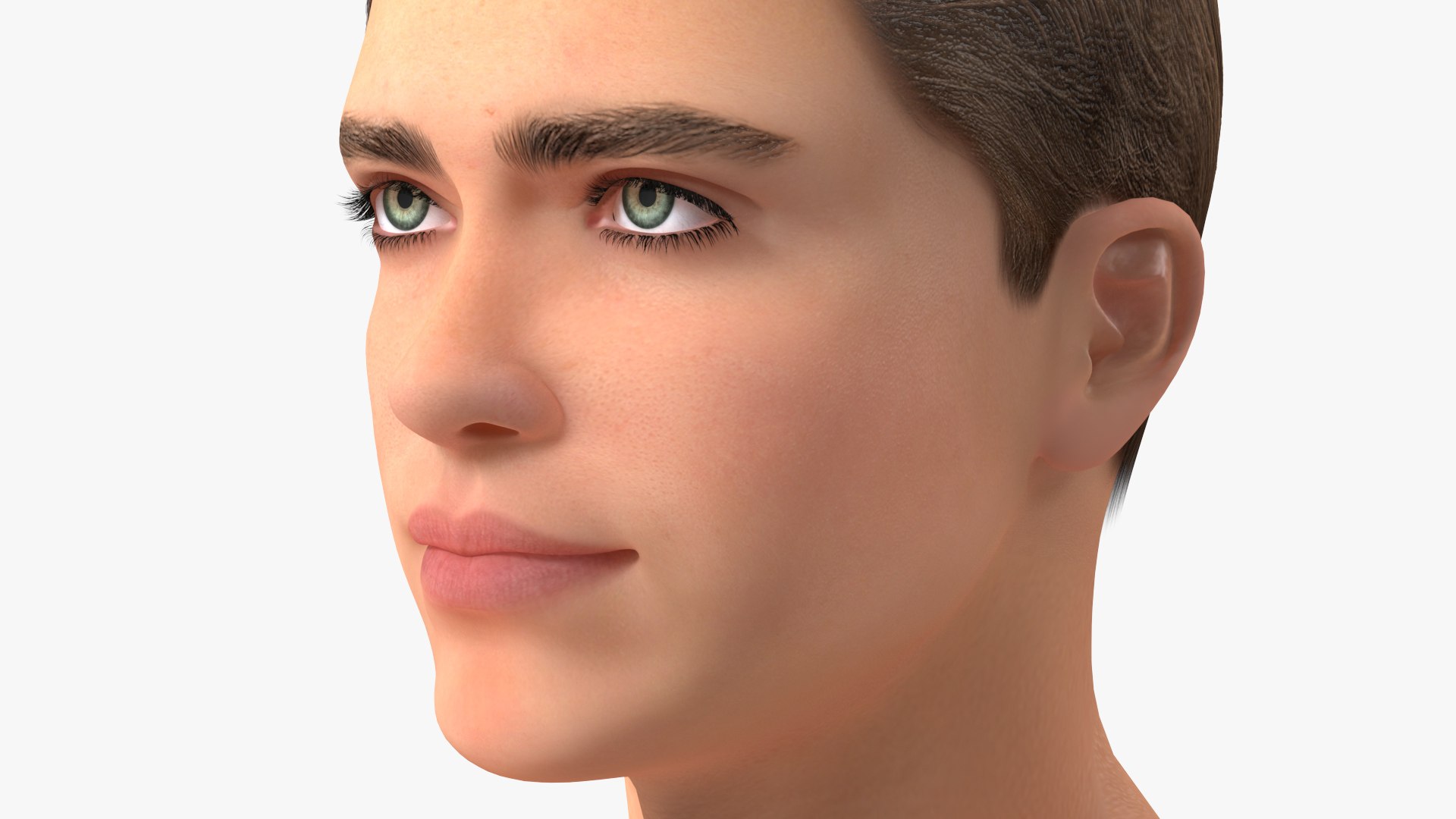 Male Heads Collection 4 3D model https://p.turbosquid.com/ts-thumb/Ar/PSnRsy/WG/maleheadscollection4mb3dmodel025/jpg/1656158314/1920x1080/fit_q87/2a4453467338f80584e2a415c3661172b8e9e788/maleheadscollection4mb3dmodel025.jpg