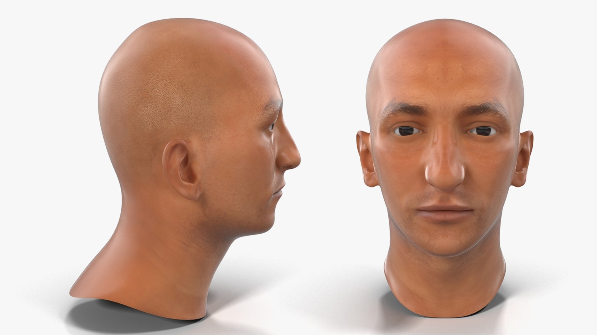 Male Heads Collection 4 3D model https://p.turbosquid.com/ts-thumb/Ar/PSnRsy/bJ/maleheadscollection4mb3dmodel040/jpg/1656158360/1920x1080/fit_q87/8bd38b0aa5dd40ddc606cfb48a3a21e45cd9f768/maleheadscollection4mb3dmodel040.jpg