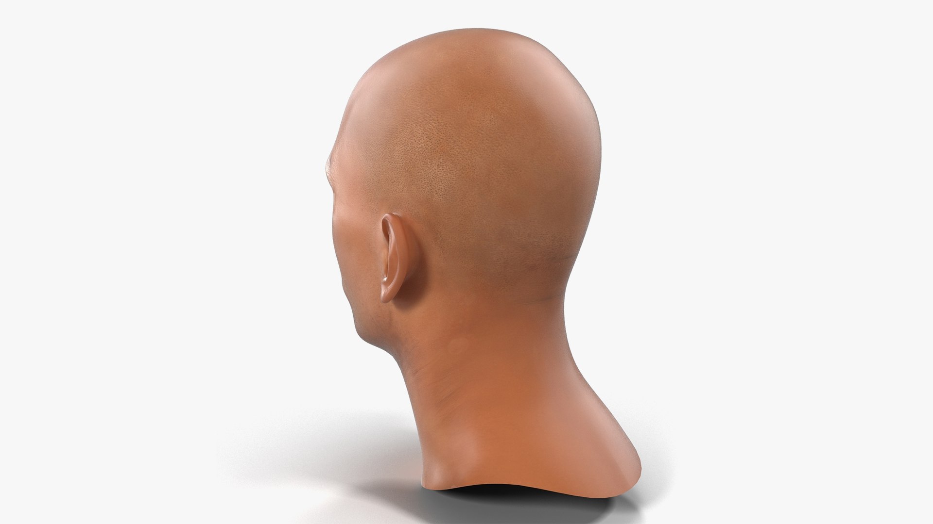 Male Heads Collection 4 3D model https://p.turbosquid.com/ts-thumb/Ar/PSnRsy/dQ/maleheadscollection4mb3dmodel041/jpg/1656158363/1920x1080/fit_q87/3c915b4efd398144806a760e6371d906959b68f6/maleheadscollection4mb3dmodel041.jpg