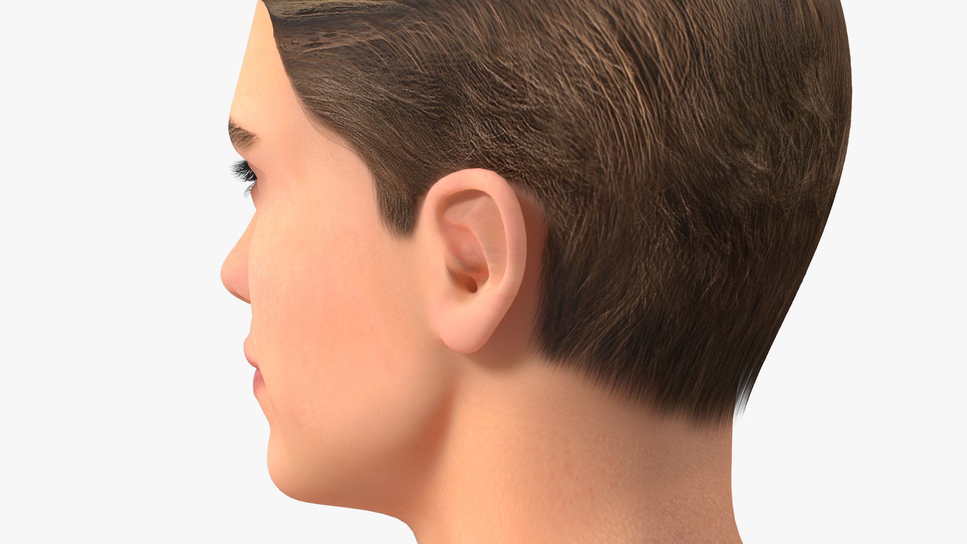 Male Heads Collection 4 3D model https://p.turbosquid.com/ts-thumb/Ar/PSnRsy/tT/maleheadscollection4mb3dmodel026/jpg/1656158317/1920x1080/fit_q87/9624abc873faf0f65ee1336d4371cdaf9524cbcb/maleheadscollection4mb3dmodel026.jpg