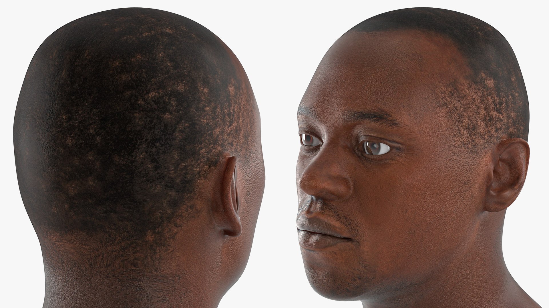 Male Heads Collection 4 3D model https://p.turbosquid.com/ts-thumb/Ar/PSnRsy/xl/maleheadscollection4mb3dmodel046/jpg/1656158379/1920x1080/fit_q87/df8e4cb84e99b5f75ba4dc6bcfe41e3e69c009f8/maleheadscollection4mb3dmodel046.jpg