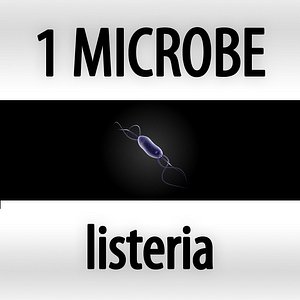 microbes micro organisms 3d model