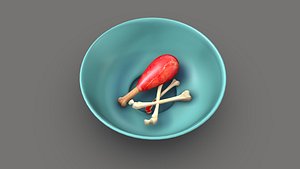 Dog's Food in Bowl