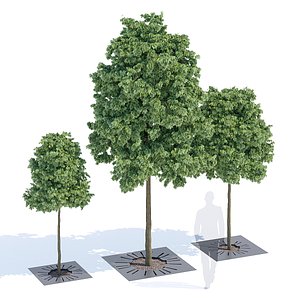 3D sunny tree-grill model