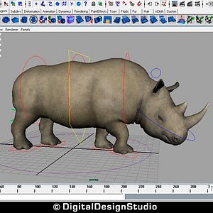 Rhinoceros Rigged
