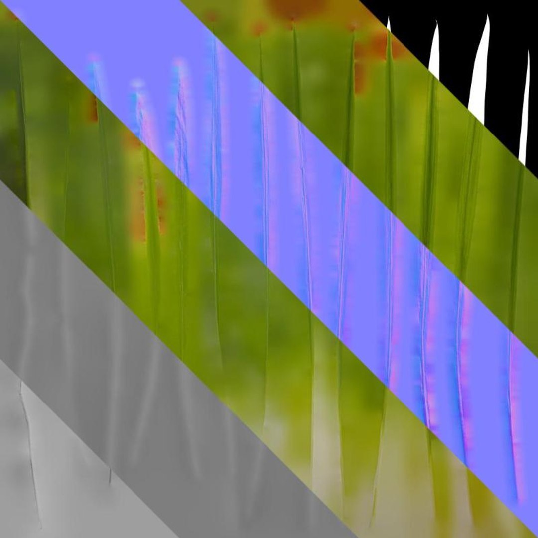 3D Model Anydrafts Crocosmia Crocosmiflora Leaf 02 Textures ...