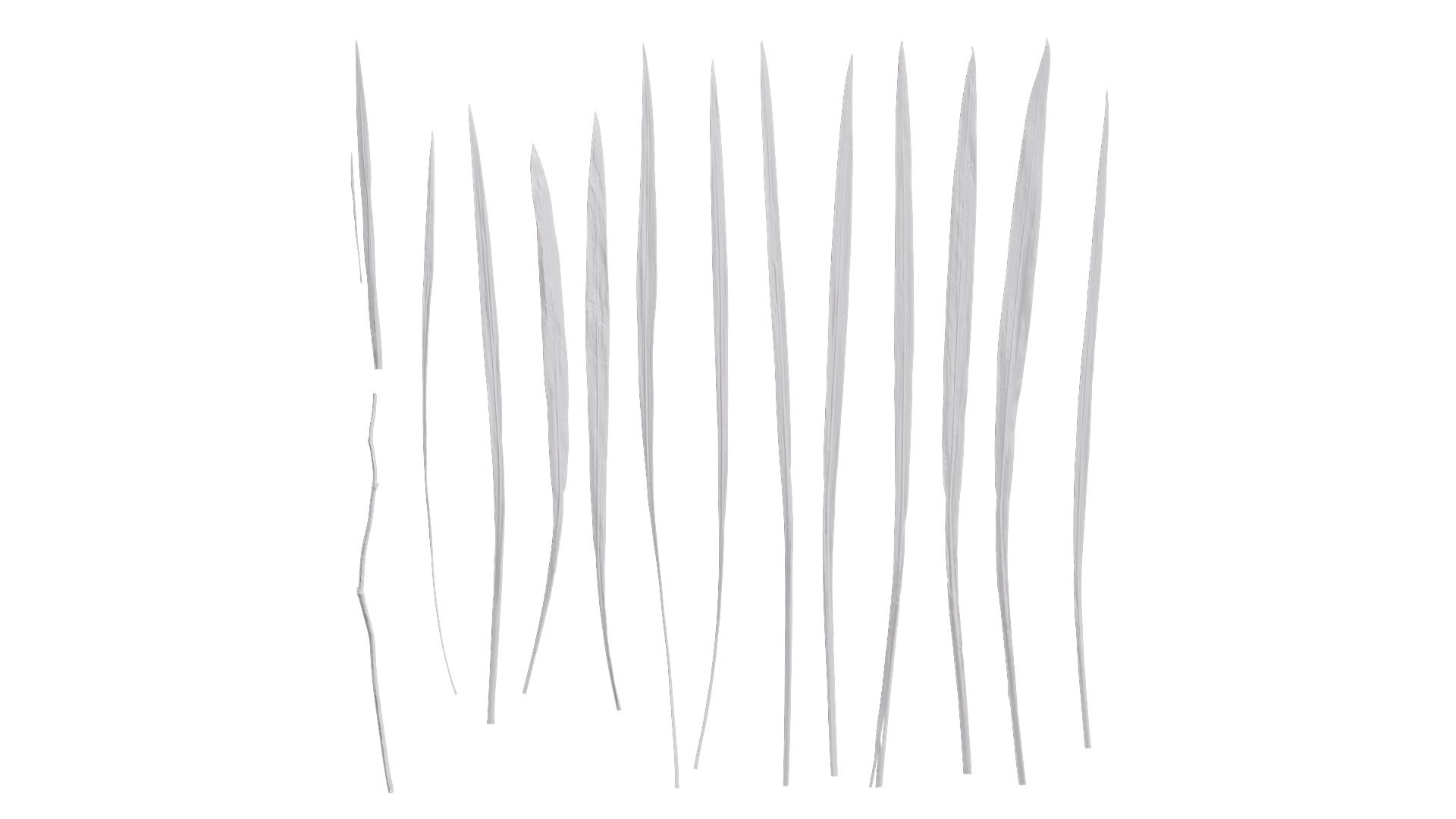 3D Model Anydrafts Crocosmia Crocosmiflora Leaf 02 Textures ...