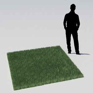 grass nature lawn 3D model