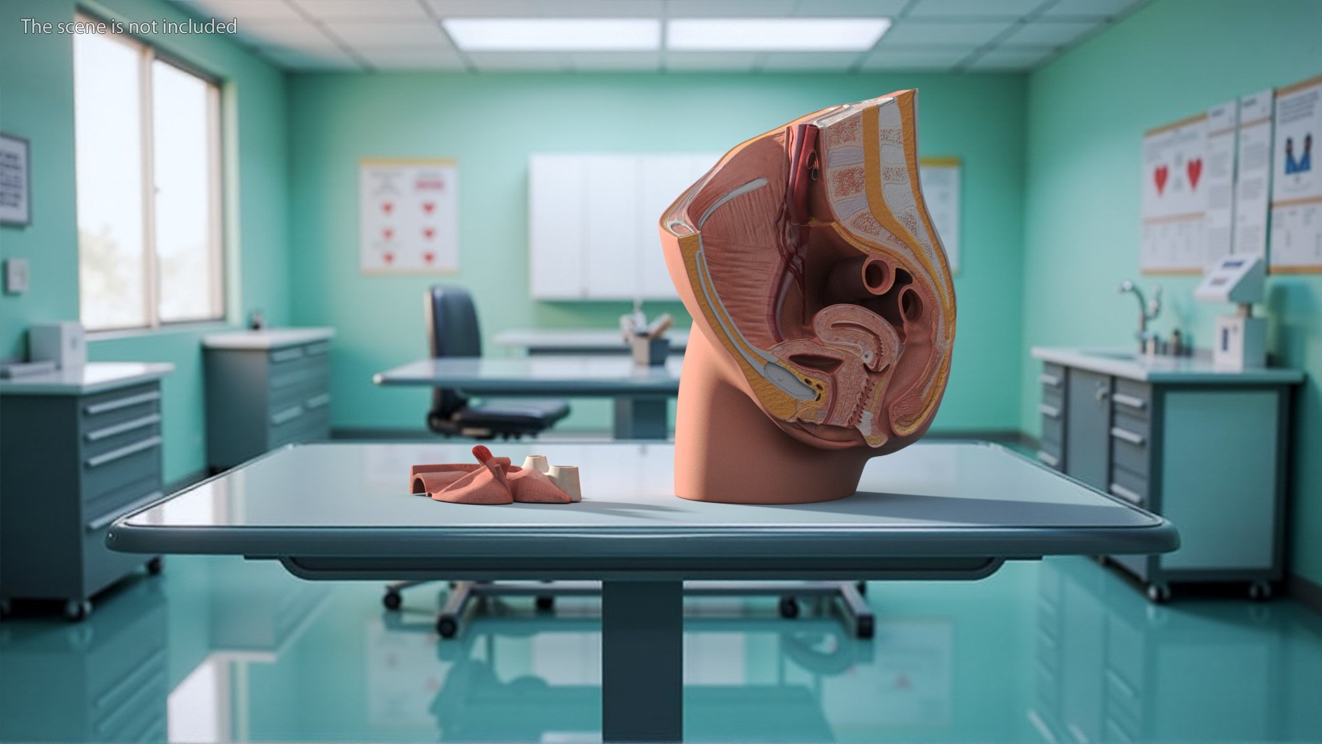 3D Female Reproductive System Cross Section Anatomical Model https://p.turbosquid.com/ts-thumb/As/0P6Rnu/mM/female_reproductive_system_cross_section_anatomical_model_003/jpg/1756474854/1920x1080/fit_q87/8eedc990ecc57671db55dc8c8a2d1fe6e22ac6bb/female_reproductive_system_cross_section_anatomical_model_003.jpg