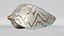 8K Noble Volute Shell