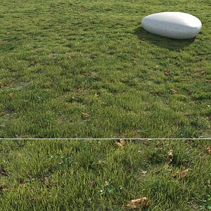 3D grass field model