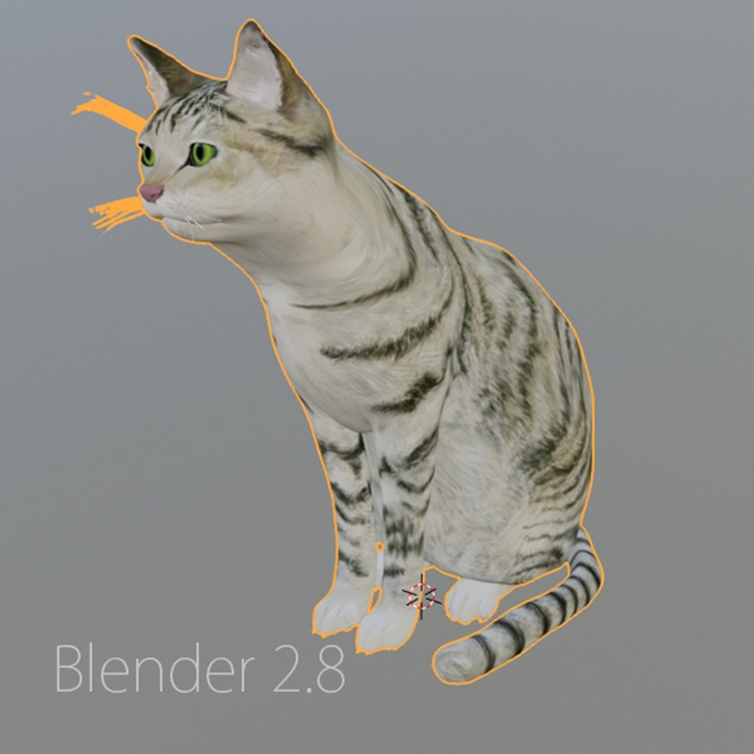 3d Model Cat