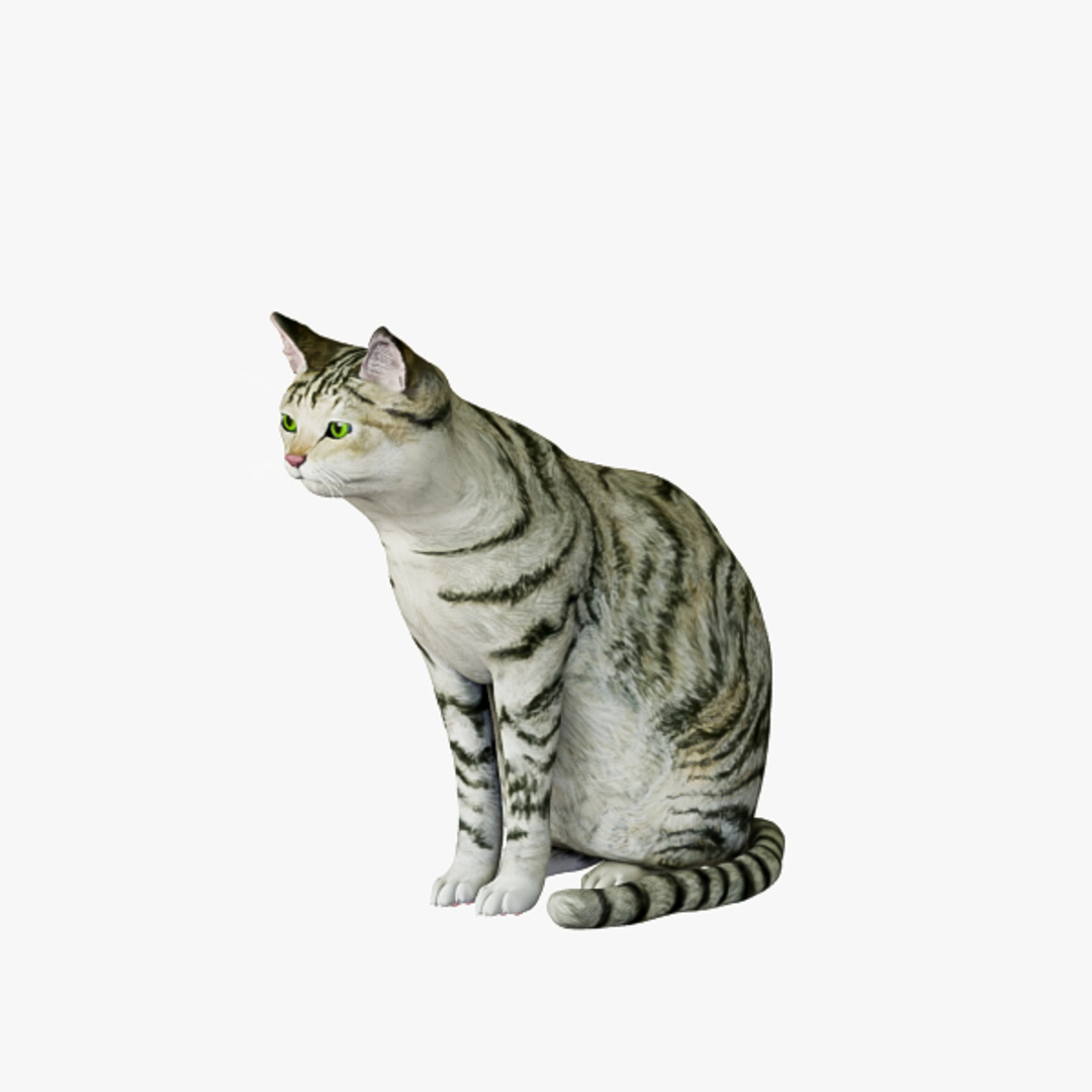 3d model cat https://p.turbosquid.com/ts-thumb/As/9WHQjw/EczzlInf/esitting01.jpg7f9fb37b961146598fedda5254c073bfdefaulthq/jpg/1570786544/1920x1080/turn_fit_q99/5b38813c5f0f5d20bc6c3d0414023cae95e11655/esitting01.jpg7f9fb37b961146598fedda5254c073bfdefaulthq-1.jpg