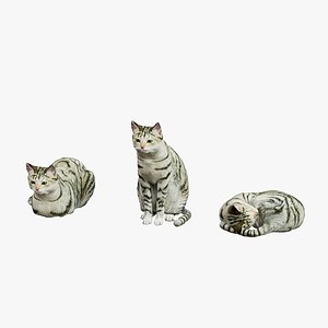 3d model cat