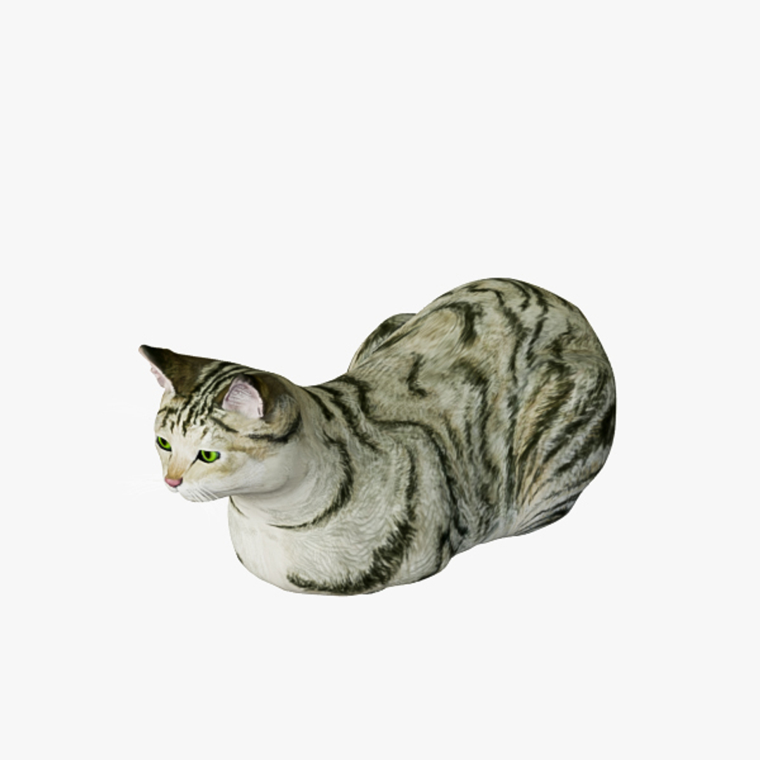 3d model cat https://p.turbosquid.com/ts-thumb/As/9WHQjw/TL6e4ITr/ec01.jpg798d1862e96b4cd2bc47065ab6cfe265defaulthq/jpg/1570786520/1920x1080/turn_fit_q99/f2f130fa317f07345f63609b44f36a0cacf62991/ec01.jpg798d1862e96b4cd2bc47065ab6cfe265defaulthq-1.jpg
