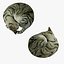 Cat E(Crouching,Sitting,Sleeping)