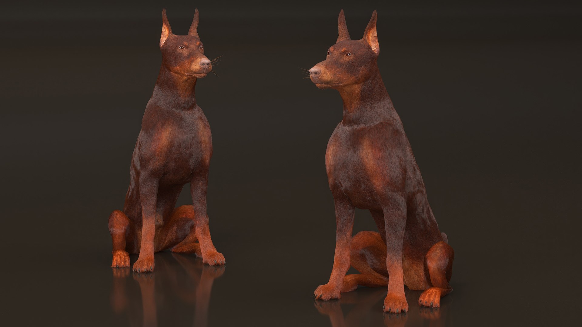 3D Brown Doberman Pinscher Fur Rigged https://p.turbosquid.com/ts-thumb/As/9noaLb/Ld/brown_doberman_pinscher_fur_rigged_009/jpg/1735555989/1920x1080/fit_q87/c5c4e0c53ea574538877c232be6306645c1b7d08/brown_doberman_pinscher_fur_rigged_009.jpg