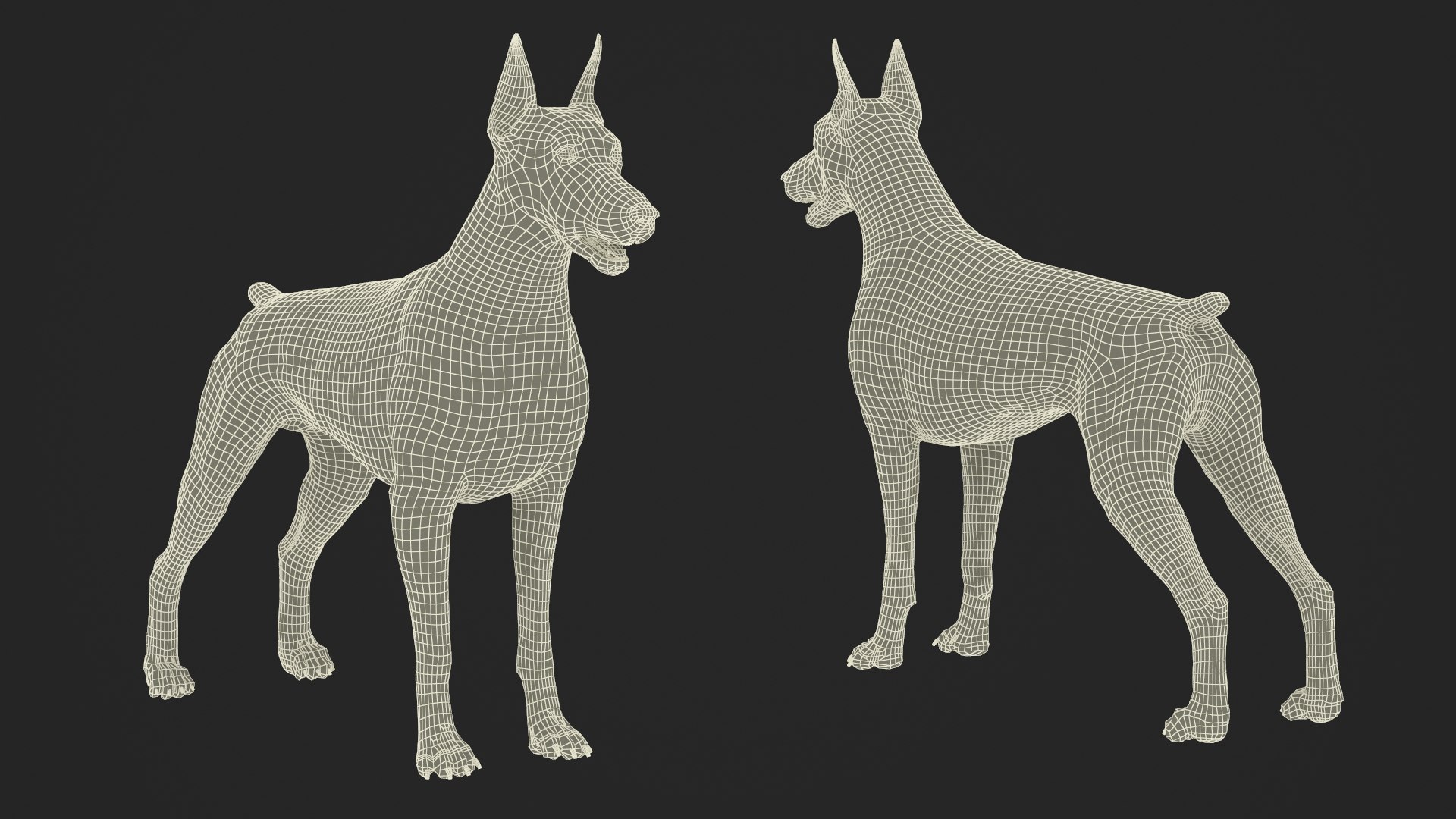 3D Brown Doberman Pinscher Fur Rigged https://p.turbosquid.com/ts-thumb/As/9noaLb/Na/brown_doberman_pinscher_fur_rigged_024/jpg/1735556122/1920x1080/fit_q87/5a667ffd68989f17a5c7596e7db0a9d58dbc0917/brown_doberman_pinscher_fur_rigged_024.jpg